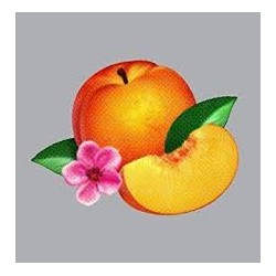 Phoenix (France)-Bankrupt!