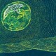 Superorganism-Superorganism