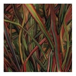 Gengahr-Where Wildness Grows