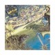 Ozric Tentacles-Pungent Effulgent
