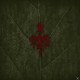Wardruna-Runaljod Yggdrasil