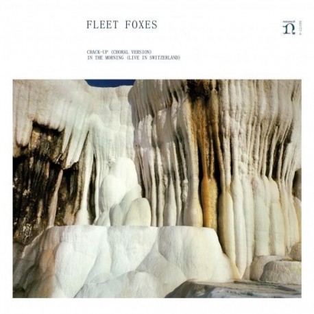 Fleet Foxes-Crack Up/In The Morning