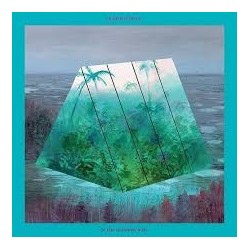 Okkervil River-In The Rainbow Rain