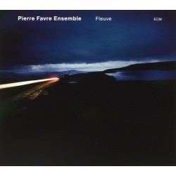 Pierre Favre-Fleuve