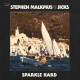 Stephen Malkmus and The Jicks-Sparkle Hard