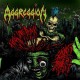 Aggression-Feels Like Punk Sounds Like Thrash