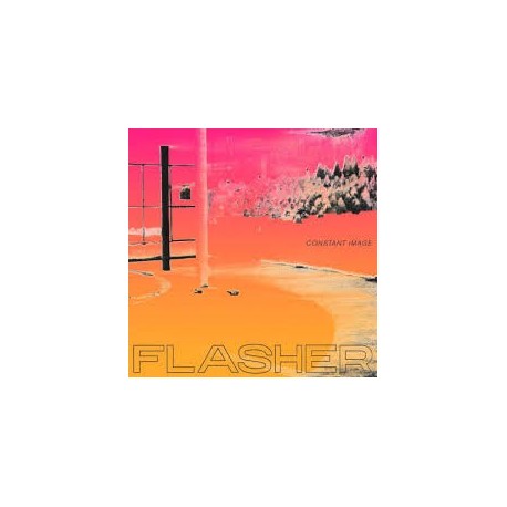 Flasher-Constant Image