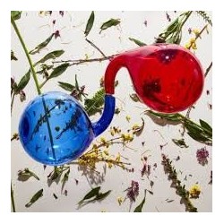 Dirty Projectors-Lamp Lit Prose