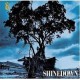 Shinedown-Us And Them