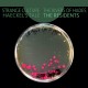 Residents - Strange Culture The Rivers Of Hades Haeckels Tale