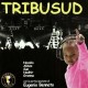 Folk Italiano Artisti Vari-Tribu Sud