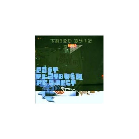 East Flatbush Project-Third By 12
