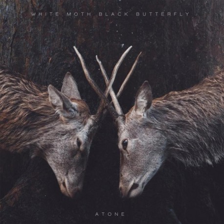 White Moth Black Butterfly-Atone