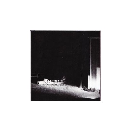 Cloud Nothings-Last Building Burning