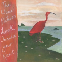 Wave Pictures-Look Inside Your Heart