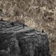 Esben And The Witch-Nowhere