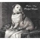 Pavlov's Dog-Prodigal Dreamer