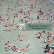 Massimo Volume-Il Nuotatore