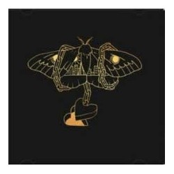 David Gray-Gold In A Brass Age
