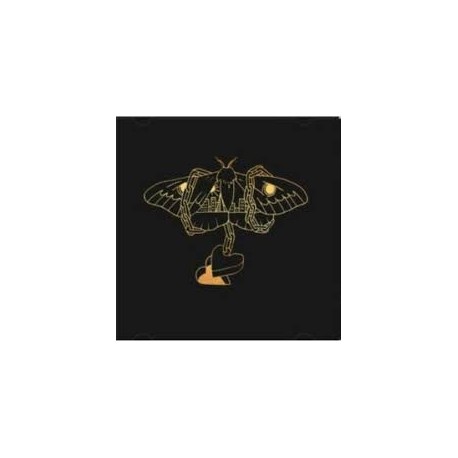 David Gray-Gold In A Brass Age