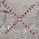Stephen Malkmus-Groove Denied
