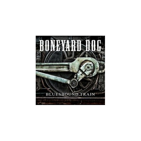 Joe Bonamassa-An Acoustic Evening At The Vienna Opera House