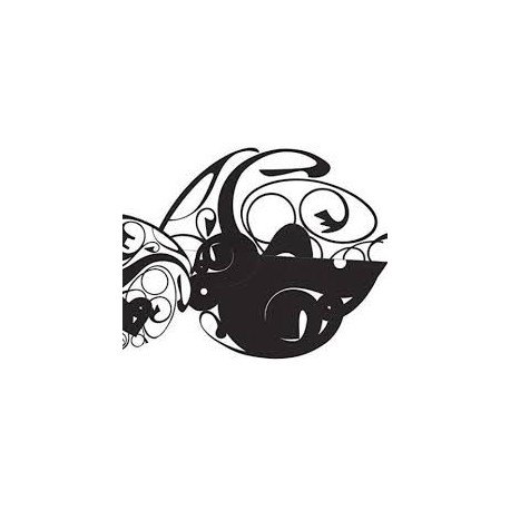 John Zorn-In A Convex Mirror
