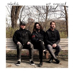Sebadoh-Act Surprised