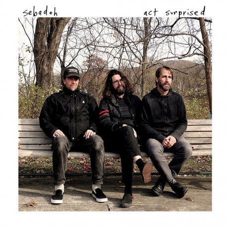 Sebadoh-Act Surprised