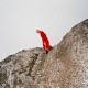 Cate Le Bon-Reward