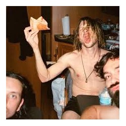 Dinosaur Pile Up-Celebrity Mansion
