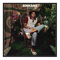 Sinkane-Depayse