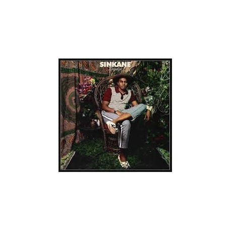 Sinkane-Depayse