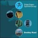 Peter Green Splinter Group-Destiny Road