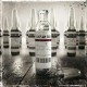 Lacuna Coil-Dark Adrenaline