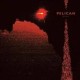 Pelican-Nighttime Stories