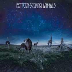 Pattern-Seeking Animals-Pattern-Seeking Animals