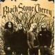 Black Stone Cherry-Black Stone Cherry