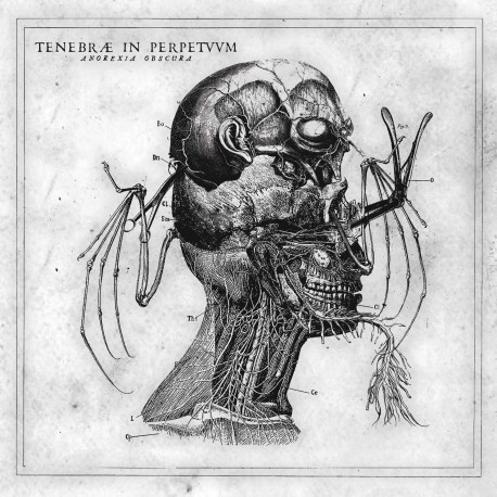 Tenebrae In Perpetuum-Anorexia Obscura