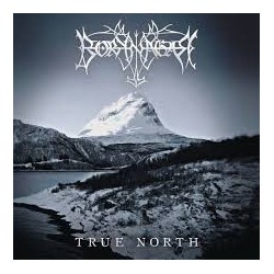 Borknagar-True North
