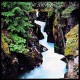 Cat Stevens-Back To Earth