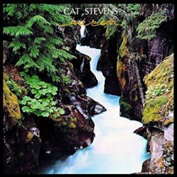 Cat Stevens-Back To Earth