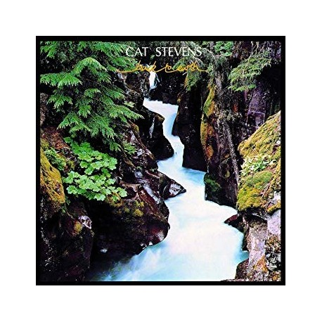 Cat Stevens-Back To Earth