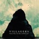 Villagers-Where Have You Been All My Life?