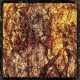 Lord mantis-Universal Death Church
