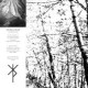Agalloch-White EP