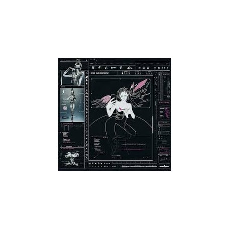 Grimes-Miss Anthropocene