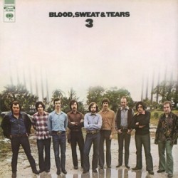 Blood Sweat & Tears-3