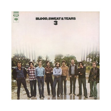 Blood Sweat & Tears-3