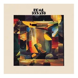 Real Estate-Man Thing